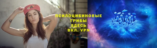 эйфоретик Дмитриев