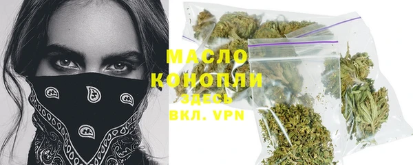 соль ск Дмитров