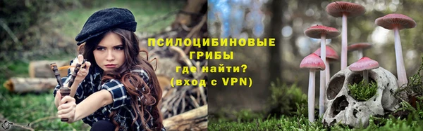 соль ск Дмитров