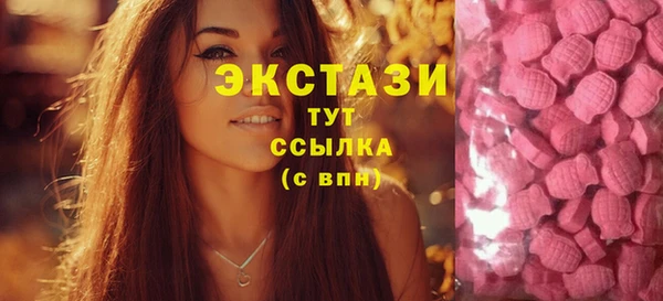 соль ск Дмитров