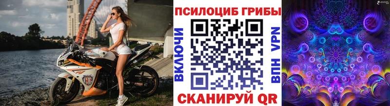 Галлюциногенные грибы GOLDEN TEACHER  Купить  Каспийск 